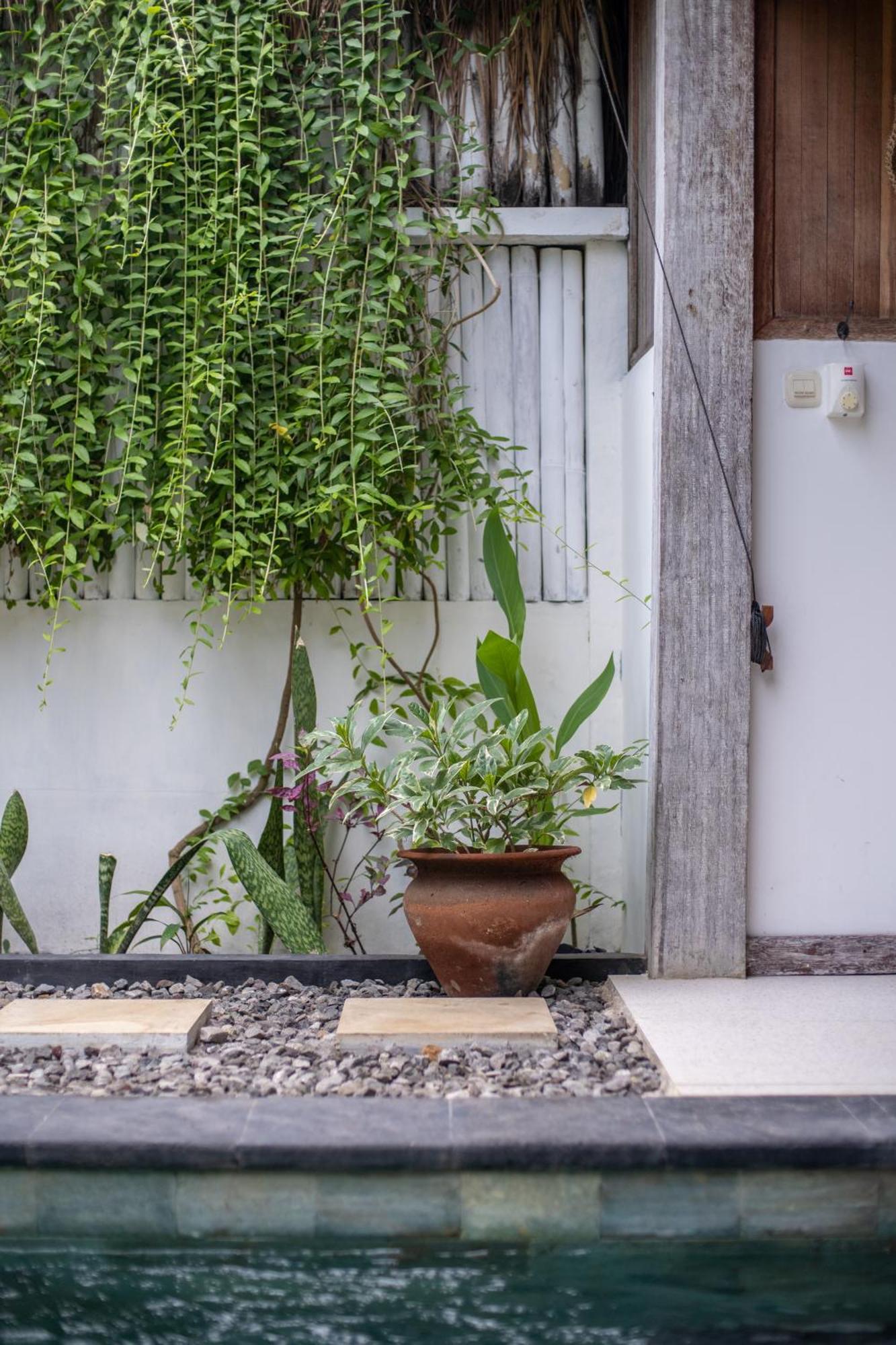 Akasia Villas ギリ・アイル エクステリア 写真